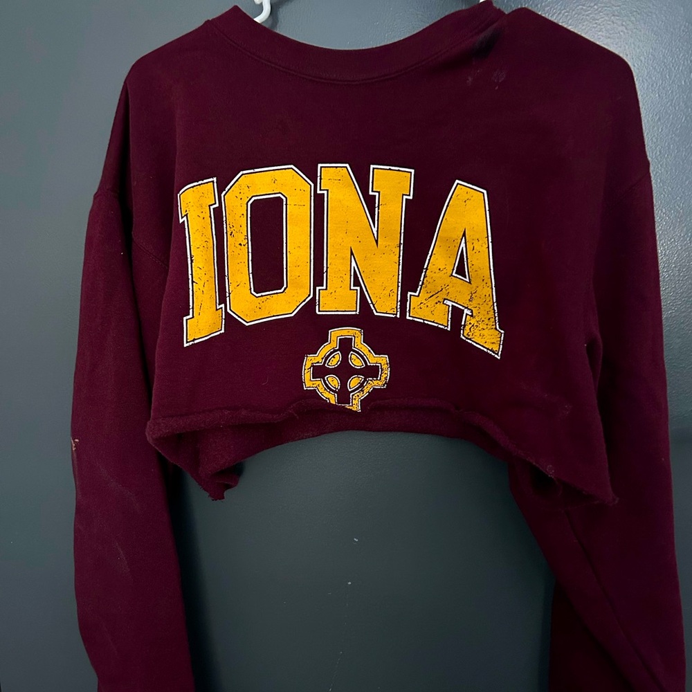Champion Cropped Custom Iona University Hoodie